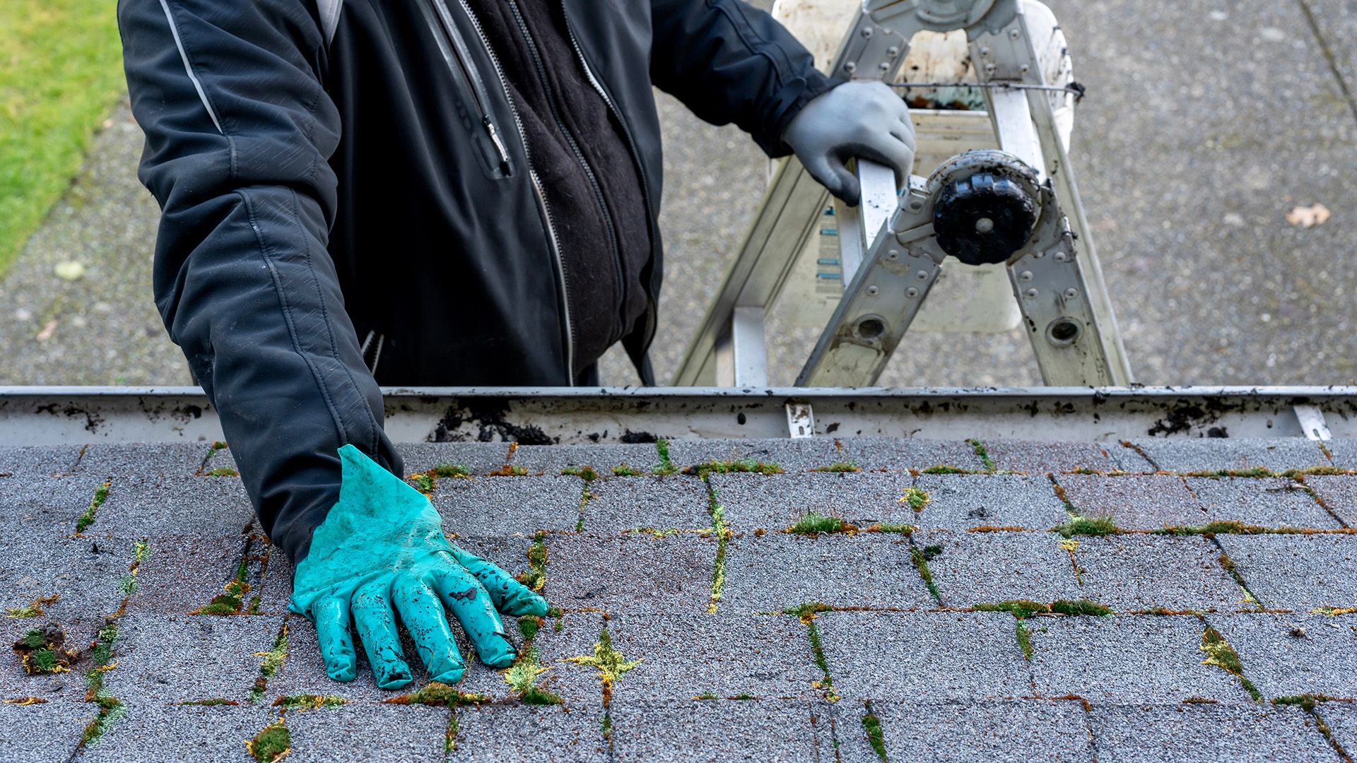 Roof Inspection